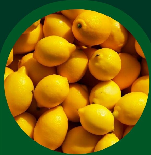Fresh Lemon — VELTA wholesale foodservice product