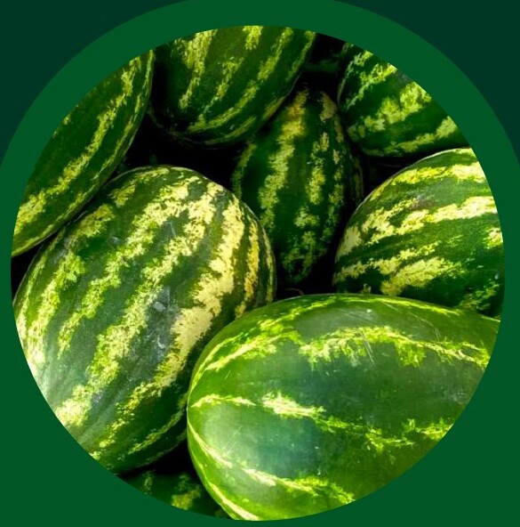 Fresh Orange — VELTA wholesale foodservice product