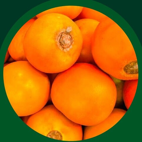Passion Fruit Pulp — VELTA wholesale foodservice product